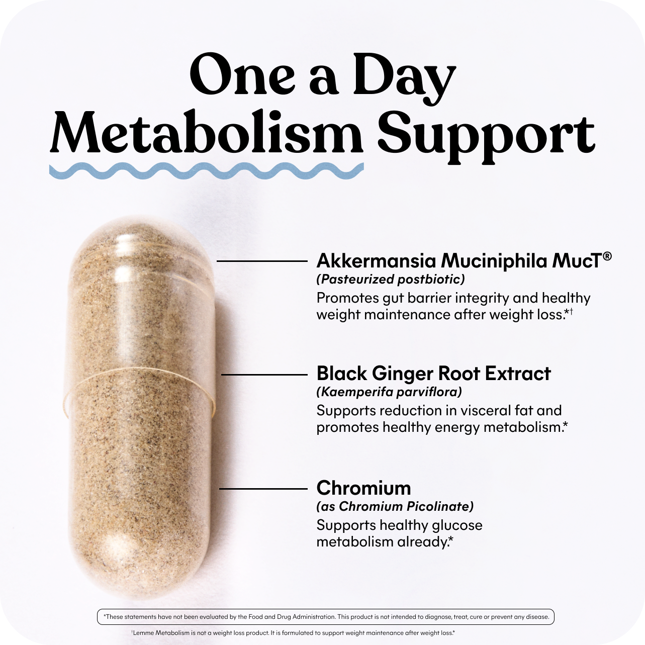 Lemme Metabolism Akkermansia Capsules