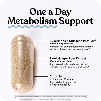 Lemme Metabolism Akkermansia Capsules