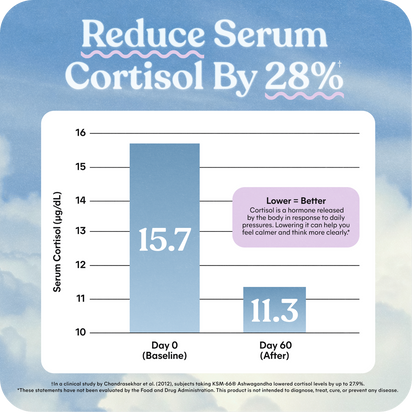 Lemme Relax Magnesium Soft Chews (TT)
